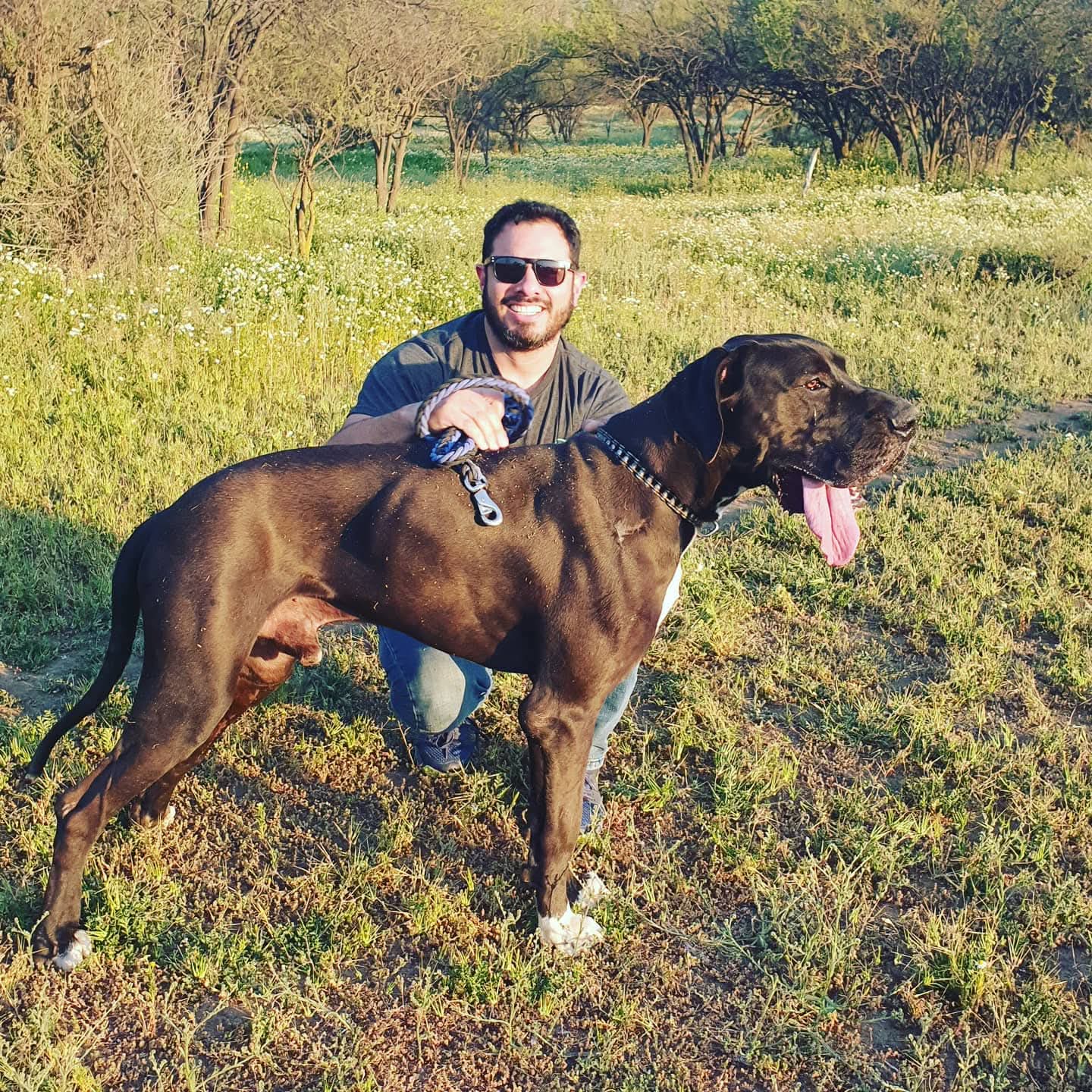 Fotografía original